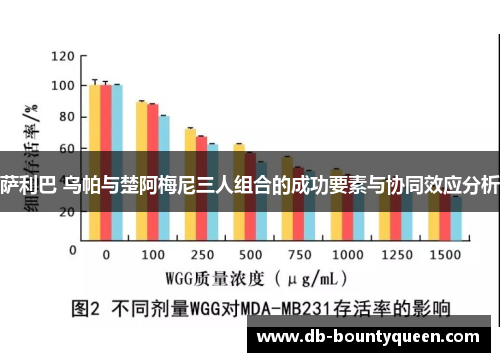 萨利巴 乌帕与楚阿梅尼三人组合的成功要素与协同效应分析 萨利巴 乌帕与楚阿梅尼三人组合的成功要素与协同效应分析